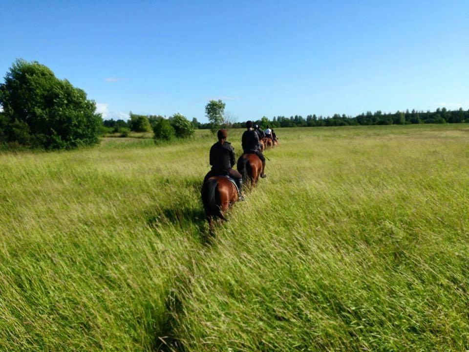 Sassi Talu Horsefarm Hotel Parnumaa Exterior photo